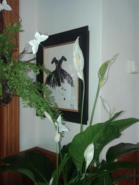 Balneum Boutique Hotel & B&B Bagno di Romagna Exterior photo